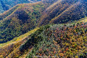 Middle Prong Wilderness in Pisgah National Forest with Autumn Colors Aerial View