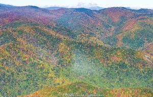 Blue Ridge Parkway autumn colors Case Camp Ridge Bennett Gap Cherry Cove Overlook aerial view 7020