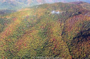 Blue Ridge Parkway autumn colors Poundingmill Branch 7008