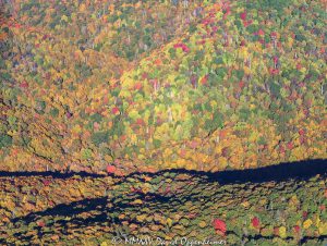 Blue Ridge Parkway autumn colors Yellowstone Prong aerial view 7029
