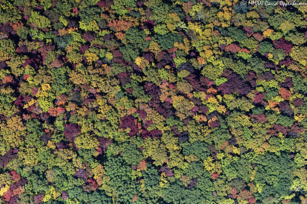 Blue Ridge Parkway autumn colors aerial vertical 8372 scaled