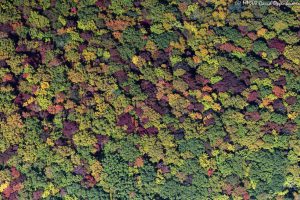 Blue Ridge Parkway autumn colors aerial vertical 8372 scaled