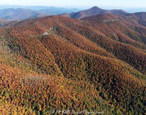 Blue Ridge Parkway at the Pink Beds Overlook in Western North Carolina with Autumn Colors Aerial View