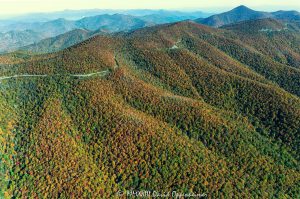 Blue Ridge Parkway at the Pink Beds Overlook in Western North Carolina with Autumn Colors Aerial View