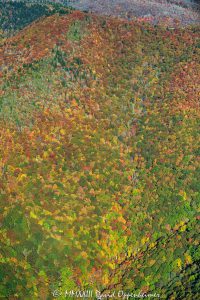 Fall Colors in a Valley Below the Blue Ridge Parkway in Western North Carolina Aerial View