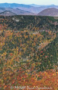 Black Balsams interspersed with Fall Colors along the Blue Ridge Parkway in the mountains of Western North Carolina Aerial View