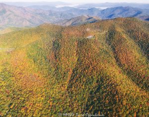 Blue Ridge Parkway autumn colors aerial view Pink Beds Overlook 6948