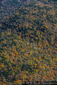 Blue Ridge Parkway with Autumn Colors