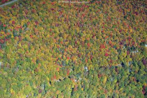Blue Ridge Parkway vertical aerial peak autumn colors 8651 scaled
