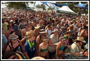 Greensky Bluegrass at Bonnaroo Music Festival