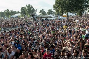 Bonnaroo Music Festival Crowd