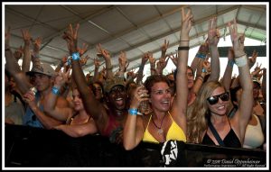 Bonnaroo Crowd