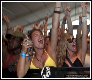 Bonnaroo Crowd