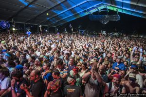 Bonnaroo Music Festival Crowd