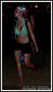 Bonnaroo Crowd Photos - Bonnaroo Girls, Crowds & More - 2010 Bonnaroo Music Festival Photos - © 2011 David Oppenheimer