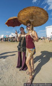 Bonnaroo Music Festival Crowd Photo