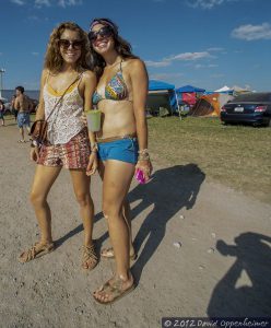 Bonnaroo Music Festival Crowd Photo