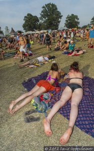 Bonnaroo Music Festival Crowd Photo