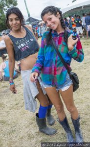 Bonnaroo Music Festival Crowd Photo