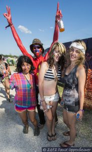 Bonnaroo Music Festival Crowd Photo