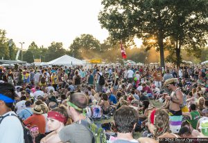 Bonnaroo Music Festival Crowd