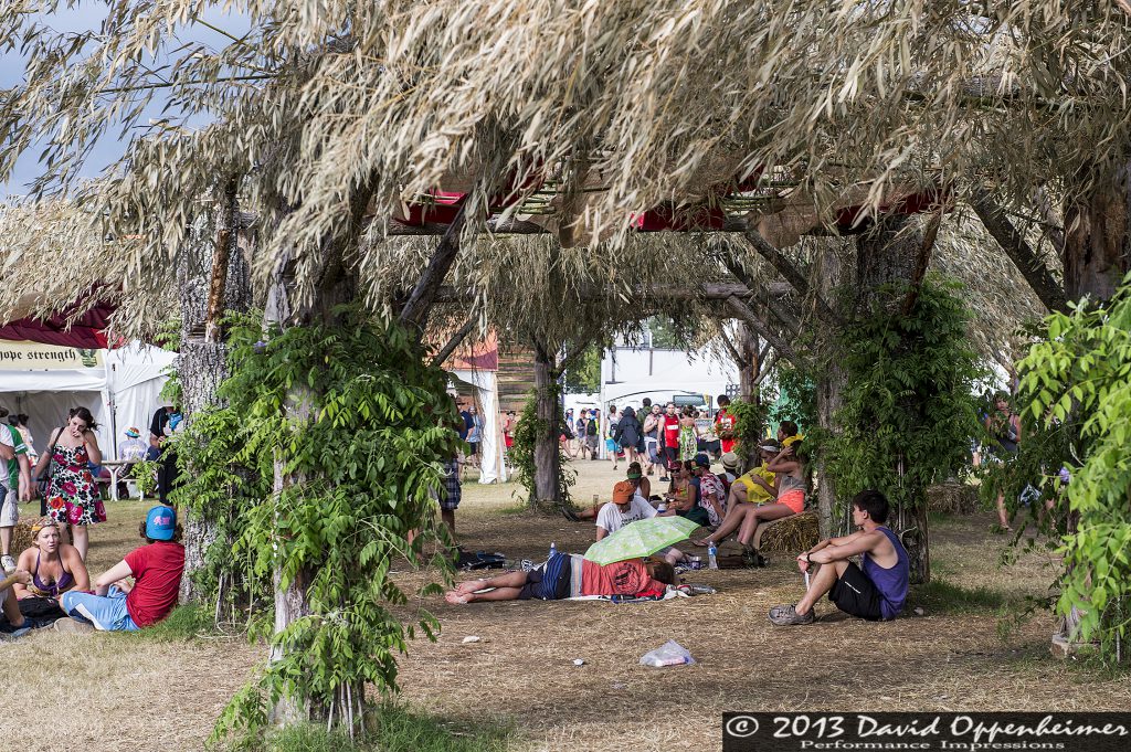 Bonnaroo Victory Garden
