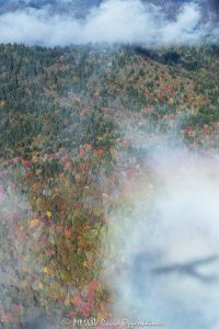 Brocken Spectre Self Portrait Flying Airplane Middle Prong Wilderness Shining Rock Wilderness WNC aerial 7307