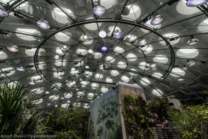 Osher Rainforest at California Academy of Sciences in San Francisco, California