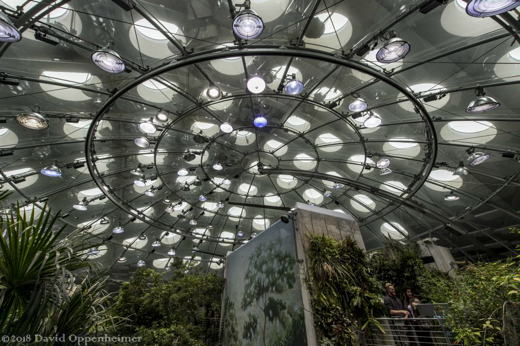 California_Academy_of_Sciences_San_Francisco_dsc_9354