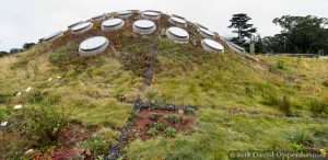 California Academy of Sciences Living Roof in San Francisco, California
