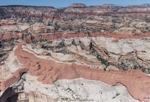 Upper Salt Creek in the Needles District of Canyonlands National Park Aerial