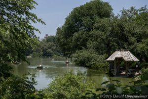 Central Park Lake in New York City