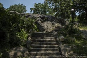 Central Park in New York City