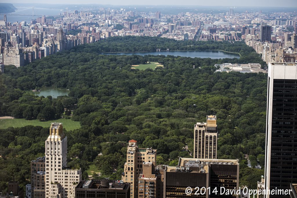 Central Park in New York City