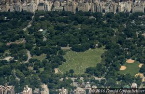Central Park in New York City Aerial View