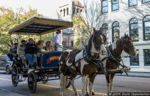 Charleston Horse Carriage Tour