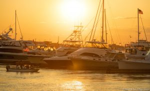 Charleston Harbor Resort & Marina at Sunset