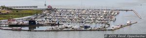 Charleston Harbor Resort and Marina