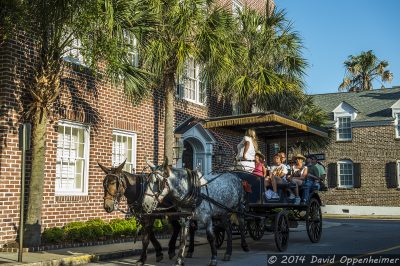 Horse Carriage Tour in Charletson, South Carolina