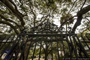 Charleston Park and Ironwork