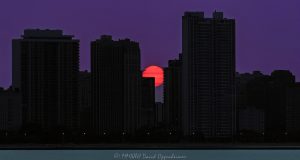 Chicago sunset between Gold Coast lakefront towers, with a fire-orange sun partly obscured by a silhouetted building edge beneath a purple sky. A gull crosses the upper rim of the solar disc, and two small sunspots appear as the sun reaches the North Lake Shore Drive skyline in Chicago, Illinois – © 2026 David Oppenheimer – Performance Impressions photography archives https://performanceimpressions.com Chicago sunset, Gold Coast sunset, Chicago skyline, Chicago cityscape, Lake Shore Drive sunset, setting sun, low sun, orange sun, purple sky, sunset sky, sun, sunset, solar disc, sunspots, solar activity, gull, seagull, bird, bird silhouette, bird in flight, skyline silhouette, building silhouettes, silhouette, horizon, summer sunset, summer, golden hour, evening, 1300 Lake Shore Drive, 1300 N Lake Shore Drive, 1300 Lake Shore condos, 1212 Lake Shore Drive, 1212 N Lake Shore Drive, 1212 Lake Shore condos, 1240 Lake Shore Drive, 1240 N Lake Shore Drive, 1240 Lake Shore condos, 1242 Lake Shore Drive, 1242 N Lake Shore Drive, 1242 Lake Shore co-op, Gold Coast, Gold Coast Chicago, Gold Coast condos, Near North Side, North Lake Shore Drive, Lake Shore Drive, DuSable Lake Shore Drive, Lake Michigan, Chicago lakefront, Chicago waterfront, Chicago, Chicago Illinois, Chicago IL, Illinois, 60610, skyline, cityscape, landscape, city, urban, buildings, towers, lakefront towers, residential towers, high rise, skyscrapers, architecture, Chicago architecture, residential architecture, lakefront architecture, condominiums, condos, co-op, residential, housing, real estate, Chicago real estate, Gold Coast real estate, lakefront real estate, sunset photography, sun photography, skyline photography, cityscape photography, landscape photography, architectural photography, Chicago art, sunset art, skyline art, city art, artwork, photo art, wall art, United States, licensing, image licensing, commercial imagery, photography licensing, art, print, fine art, commercial photography, David Oppenheimer, horizontal, 1-15213827141