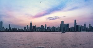 Chicago Skyline Panorama at Blue Hour Chicago skyline panorama from Lake Michigan at blue hour, spanning roughly two miles of the city’s lakefront from the South Loop through downtown to the Near North Side. Vertical towers extend across the horizon beneath violet, orange, and blue post-sunset clouds as the lake reflects the remaining evening light in Chicago, Illinois – © 2026 David Oppenheimer – Performance Impressions photography archives https://performanceimpressions.com Chicago cityscape, cityscape, Chicago skyline, skyline, Chicago skyline panorama, Chicago panorama, panoramic cityscape, panoramic skyline, panorama, panoramic, Chicago blue hour, Lake Michigan, Chicago lakefront, Chicago waterfront, Chicago coastline, Chicago coast, Chicago lakeshore, lakefront, waterfront, coastline, coast, lakeshore, shoreline, water, lake, horizon, downtown Chicago, South Loop, Chicago Loop, Loop Chicago, Lakeshore East, New Eastside, Streeterville, Near North Side, Grant Park, Millennium Park, Chicago, Chicago Illinois, Chicago IL, Illinois, urban landscape, landscape, downtown, city, urban, blue hour, twilight, dusk, after sunset, evening, evening light, glowing sky, purple sky, violet sky, orange sky, blue sky, clouds, cloudscape, city lights, skyline lights, building lights, reflections, lake reflection, gull, seagull, bird, bird in flight, architecture, buildings, skyscrapers, towers, high rise, office towers, residential towers, apartments, condominiums, hotels, mixed use, real estate, Chicago real estate, lakefront real estate, waterfront real estate, commercial real estate, residential real estate, 1000M, 1000M Apartments, 1000 S Michigan Ave, Sentral Michigan Avenue, Essex on the Park, 808 S Michigan Ave, Hilton Chicago, Stevens Hotel, 720 S Michigan Ave, Willis Tower, Sears Tower, 233 S Wacker Drive, 311 South Wacker, 311 S Wacker Drive, Aon Center, Standard Oil Building, Amoco Building, 200 E Randolph Street, The St. Regis Chicago, St. Regis Chicago, Vista Tower, Wanda Vista Tower, 875 North Michigan Avenue, John Hancock Center, 360 Chicago, Aqua, Aqua Chicago, One Prudential Plaza, Two Prudential Plaza, Blue Cross Blue Shield Tower, 340 on the Park, Helmut Jahn, Skidmore Owings Merrill, SOM, Bruce Graham, Fazlur Rahman Khan, Kohn Pedersen Fox, KPF, Edward Durell Stone, Studio Gang, Jeanne Gang, Chicago skyline art, Chicago cityscape art, Chicago art, Chicago photography, panoramic photography, blue hour photography, skyline photography, cityscape photography, landscape photography, architectural photography, panorama art, skyline art, cityscape art, landscape art, urban art, artwork, photo art, wall art, art print, Chicago print, skyline print, travel, tourism, destination, United States, licensing, image licensing, commercial imagery, photography licensing, art, print, fine art, commercial photography, David Oppenheimer, horizontal, 1-15213827141