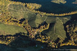 Christmas Tree Farm in Mountains of North Carolina Aerial Photo