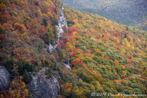 Nantahala National Forest Fall Colors