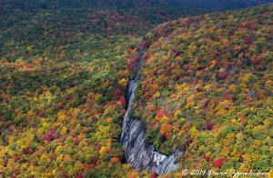 Nantahala National Forest Fall Colors