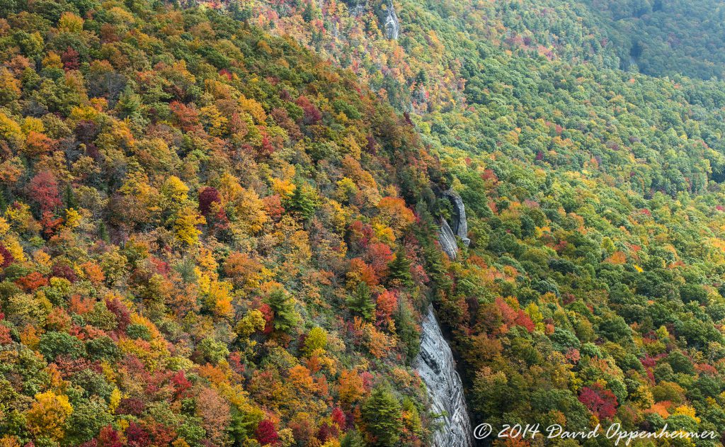 Nantahala National Forest Fall Colors