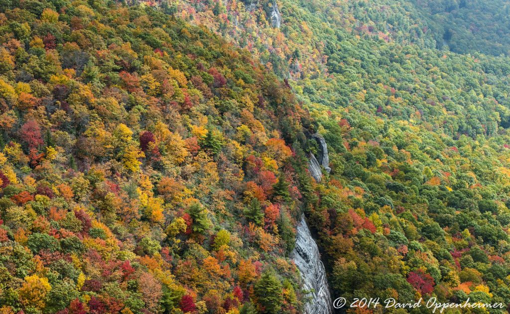 Nantahala National Forest Fall Colors