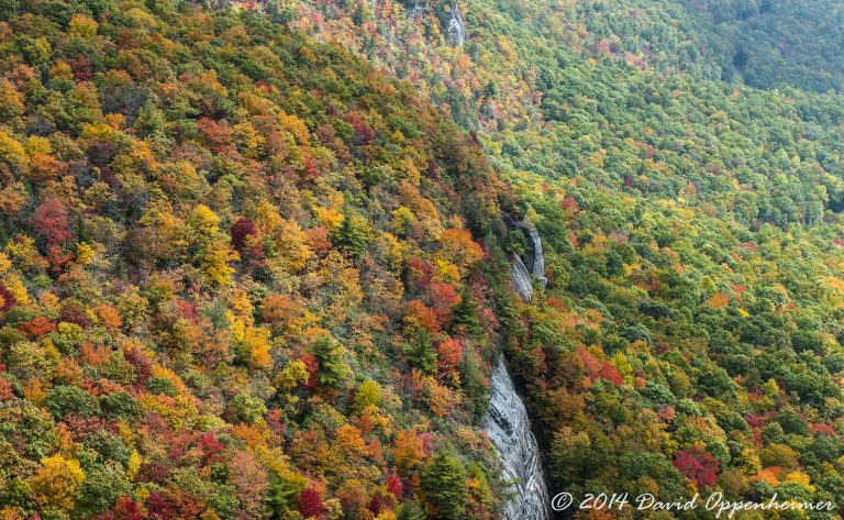 Nantahala National Forest Fall Colors