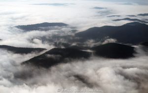 Cloud Inversion in the Blue Ridge Mountains of WNC Aerial View Cloud inversion in the Blue Ridge Mountains of Western North Carolina aerial view - © 2024 David Oppenheimer - Performance Impressions aerial photography archives - https://performanceimpressions.com Cloud inversion, Blue Ridge Mountains, Blue Ridge Parkway, clouds, cloud cover, cloud in mountains, mountains, ridgelines, ridges, Blue Ridge Parkway, foggy, weather, inversion, Western North Carolina, North Carolina, Asheville, WNC, NC, travel, morning, early, mountaintops, sea of clouds, Transylvania County, Buncombe County, Haywood County, Jackson County, thermal inversion, valleys, peaks, cold air, moisture, cloud formations, undulating, cloud photography, art, artwork, beauty, landscape, aerial photography, aerial, aerial photographer, David Oppenheimer, color, vertical, United States, home, color, horizontal, landscape, 1-13726821381,