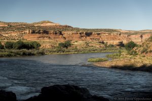 Colorado River in Mesa County Colorado